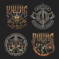 Colorful viking vintage badges Royalty Free Stock Photo