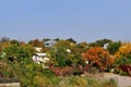 Colourful Village and red leaves