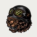 Colorful vintage angry biker grizzly head