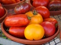 Colorful vintage Heirloom tomatoes