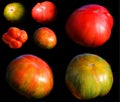 Colorful vintage Heirloom tomatoes vegetable