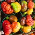 Colorful vintage Heirloom tomatoes