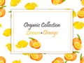Colorful Vintage Lemon And Orange Label Poster Vector Illustration