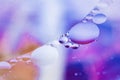 Colorful violet blue bubbles, macro oil drops in water surface. Abstract background, copy space Royalty Free Stock Photo