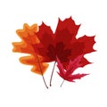 Colorful Vivid Autumn Falling Leaves. Vector Illustration