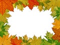 Colorful vivid autumnal frame