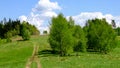 View on hills meadows, village road and single trees near ChabÃÂ³wka in Poland