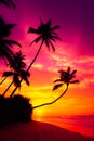 Colorful vivid sunset with coconut palm trees silhouettes over the water on tropical island beach Royalty Free Stock Photo