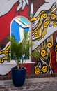 Colorful wall and mirroring window, and palm in pot. Interior, design. Architecture