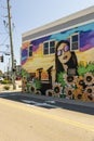 A colorful wall mural with a woman wearing sunglass, surfers at the beach and colorful flowers on the side of a building