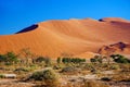 Shifting sand dune in Sossusvlei national park, Namibia Royalty Free Stock Photo
