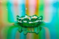 Colorful Water drop splash artful close-up Royalty Free Stock Photo