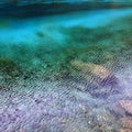 Colorful water in light wind Royalty Free Stock Photo