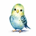 Colorful Watercolor Bird Illustration: Cute Budgerigar In Detailed Style Royalty Free Stock Photo