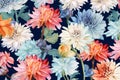 Colorful Watercolor Chrysanthemums flowers Pattern