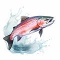 Colorful Watercolor Clipart Of A Jumping Salmon Fish