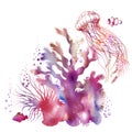 Colorful watercolor coral scenery and graphic jellyfish.