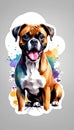 Colorful watercolor cute Boxer dog illustration on white background Royalty Free Stock Photo