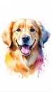 Colorful watercolor cute Golden retriever dog illustration on a white background Royalty Free Stock Photo