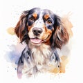 Colorful Watercolor Dog Portrait on a White Background Royalty Free Stock Photo