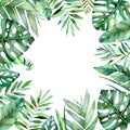 Colorful watercolor frame border with colorful tropical leaves. Royalty Free Stock Photo