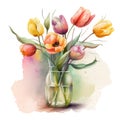 Colorful watercolor Tulips bouquet in a glass vase on a white background. Royalty Free Stock Photo