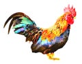 Colorful watercolor hand-painted art illustration : chicken