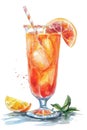 Colorful Watercolor Illustration of Refreshing Citrus Cocktail Drink