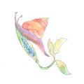 Colorful watercolor illustration of slug on pea plant