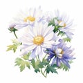 Colorful Watercolor Illustration Of White Daisies On A Light Background