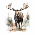 Colorful Watercolor Moose Illustration With Strong Facial Expression