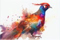 Colorful colourful pheasant bird