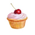 Colorful watercolor painting of small cupcake with vanilla berry cream and red cherry on top Royalty Free Stock Photo