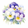 Colorful Watercolor Pansies: White Wonder Flowers On White Background