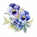 Colorful Watercolor Pansy Arrangement Clipart On White Background Royalty Free Stock Photo