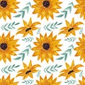 Colorful watercolor pattern with sunflowers and leaves on a white background. Seamless pattern for various products. Royalty Free Stock Photo