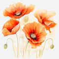 Colorful watercolor poppy flowers illustration on a white background. Generative AI Royalty Free Stock Photo