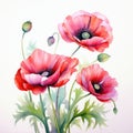 Colorful watercolor poppy flowers illustration on a white background. Generative AI Royalty Free Stock Photo