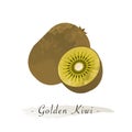 Colorful watercolor texture healthy fruit golden kiwi