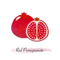 Colorful watercolor texture healthy fruit red pomegranate