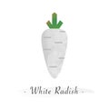 A Colorful watercolor texture healthy vegetable white radis