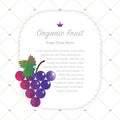 Colorful watercolor texture nature organic fruit memo frame