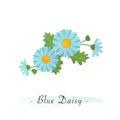 Colorful watercolor texture vector botanic garden flower asteraceae light blue daisy