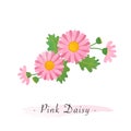 Colorful watercolor texture vector botanic garden flower asteraceae pink daisy