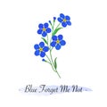 Colorful watercolor texture vector botanic garden flower blue forget me not Royalty Free Stock Photo