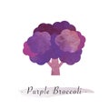 A Colorful watercolor texture vector healthy vegetable purple broc