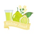 Colorful watercolor texture vector nature organic fresh fruit juice banner pomelo