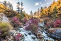 Colorful waterfall in autumn forest