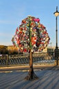 Colorful wedding padlocks on a metal tree Royalty Free Stock Photo