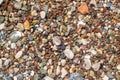 Colorful wet pebbles at the beach. Stone background image. Different color pebbles at the beach.